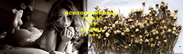 мяу мяу кристалл Лихославль
