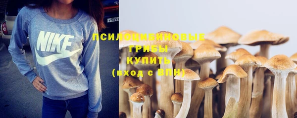 гидра Лагань