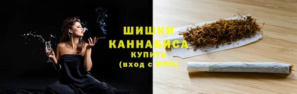 гидра Лагань