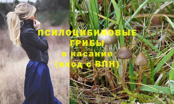 мяу мяу кристалл Лихославль