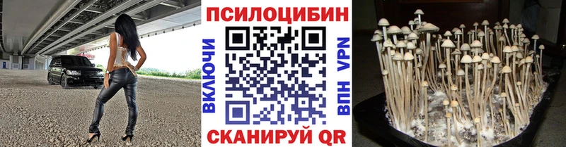 Купить где  Малоархангельск  Псилоцибиновые грибы Cubensis 